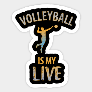 Volleyball Sport Team Play Gift Sticker